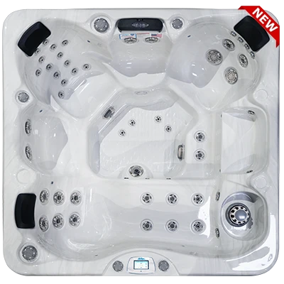 Avalon-X EC-849LX hot tubs for sale in West Virginia